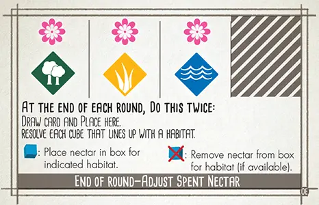 Automa adjust nectar card