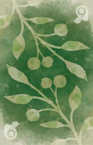 Automa bonus card back