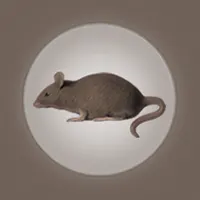 Rodent token