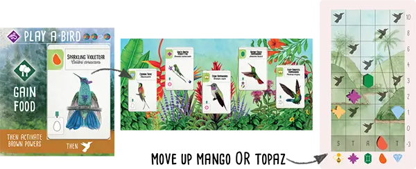 Return a hummingbird