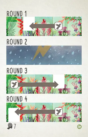 Automa hummingbird card