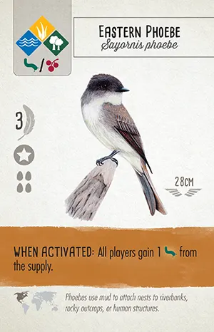 Bird card