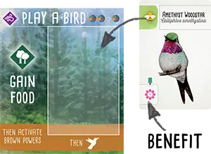 Attract a hummingbird