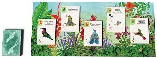 Hummingbird garden setup