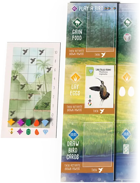 Hummingbird player setup